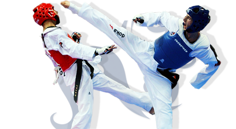 Брянская федерация Taekwondo WTF